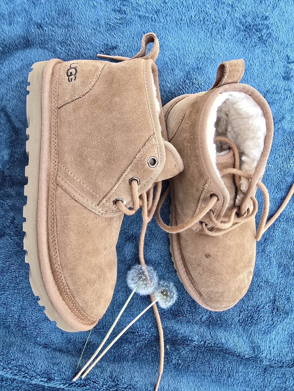 UGG Women Chestnut Suede Lace-Up Booties Size Women 7